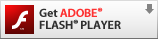 Download the Adobe Flash Player