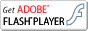 Flash Player Download